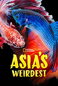 Watch Free Asias Weirdest (2021)