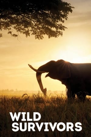 Watch Free Wild Survivors (2017-)