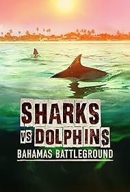 Watch Free Sharks vs Dolphins Bahamas Battleground (2023)