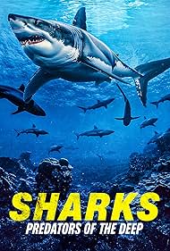 Watch Free Sharks Predators of the Deep (2024)