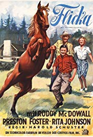 Watch Free My Friend Flicka (1943)